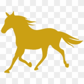 Find Me The Perfect Horse - Silhouette Of Walking Horse, HD Png Download - horse png hd