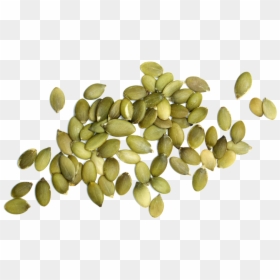 Pumpkin Seeds Png - Transparent Background Pumpkin Seeds Png, Png Download - froots png