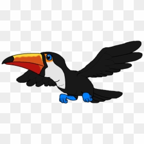 Toucan Clipart Real - Beak, HD Png Download - froots png