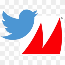 Follow Macdougalls - Twitter Logo Without White Background, HD Png Download - twitter logo png\