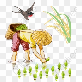 Farmer A Cultivation Transparent - 退步 原來 是 向 前, HD Png Download - farmer png images