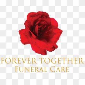 Forever Together Funeral Care - Regent Care Center Logo, HD Png Download - together forever png