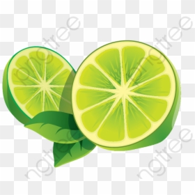 Lemon Slices Png - Transparent Lemon Icon, Png Download - lemon vector png