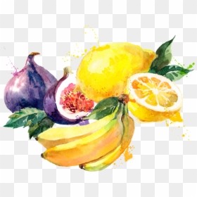 Kisspng Watercolor Painting Common Fig Drawing Illustratio, Transparent Png - lemon vector png