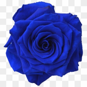 Clip Art Dark Blue Flowers - Navy Blue Flower Png, Transparent Png - blue flower vector png