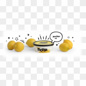 Noosa Lemon, HD Png Download - lemon vector png