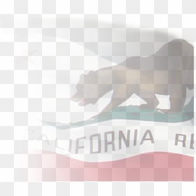 California State Library Png - California State Background, Transparent Png - california state seal png