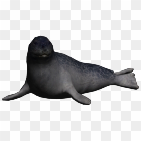 Transparent Sealion Clipart - Seal Animals Png, Png Download - california state seal png