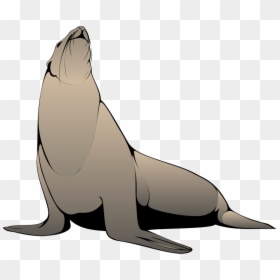 Free Pictures Download Clip Art On Seal Seal- - Sea Lion Clipart Png, Transparent Png - california state seal png