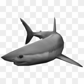 Killer Whale, HD Png Download - left shark png