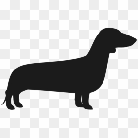 Dachshund Silhouette Png - Silhouette Dachshund Png, Transparent Png - weiner dog png