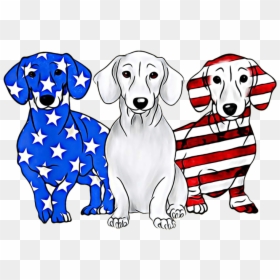 Dachshund With American Flag, HD Png Download - weiner dog png