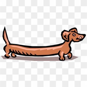 Vector Illustration Of Cartoon Wiener Dog Dachshund - Weiner Dog Clip Art, HD Png Download - weiner dog png