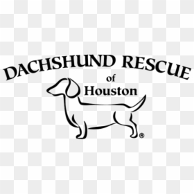 Dachshund Rescue Of Houston, HD Png Download - weiner dog png
