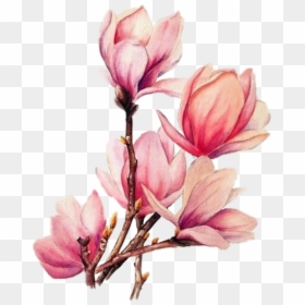 Watercolor Flowers Png Free, Transparent Png - pink watercolor flowers png