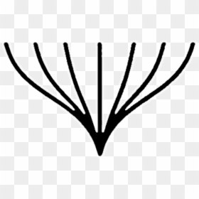 1€ En Refrescos 2€ En Combinados, HD Png Download - refrescos png