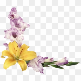 Transparent Flores Png - Flores Png Marco, Png Download - marco de flores png