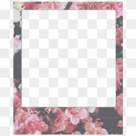Polaroid Transparent Png Overlay, Png Download - marco de flores png