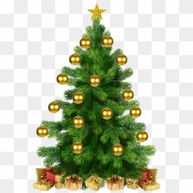 Arvore De Natal Png - Árvore De Natal Em Png, Transparent Png - moldura de natal em png