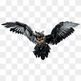 Asus Strix Owl, HD Png Download - buho png