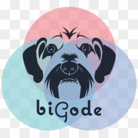 Boxer, HD Png Download - bigode png