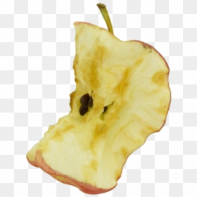 Apple, HD Png Download - apple core png