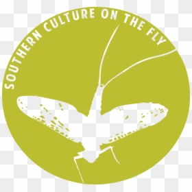 Scof Logo - Southern Culture On The Fly, HD Png Download - fly fishing png