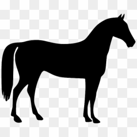 Mustang American Quarter Horse Stallion Pony - Horse Vector, HD Png Download - soldier 76 mask png