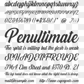 Calligraphy, HD Png Download - sample stamp png