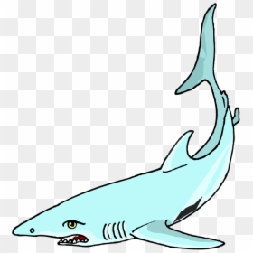 Hammerhead Clip Art Vector - Shark Clip Art, HD Png Download - shark head png