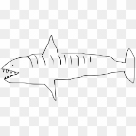 Tiger Shark Line Art, HD Png Download - shark head png