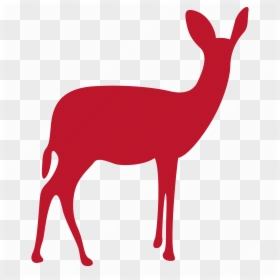 Deer,red,clip Art,llama,terrestrial Deer,roe - Deer Icon, HD Png Download - antelope png