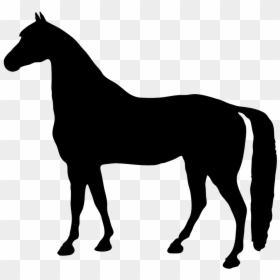 Horse Silhouette No Background, HD Png Download - horseshoe png