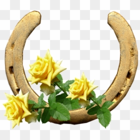 Di Buongiorno 27 Aprile, HD Png Download - horseshoe png