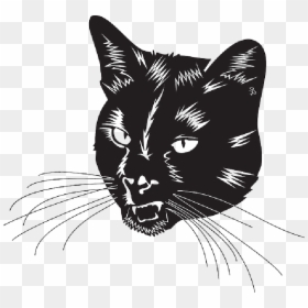 Black Cat Vector Art, HD Png Download - black cat png
