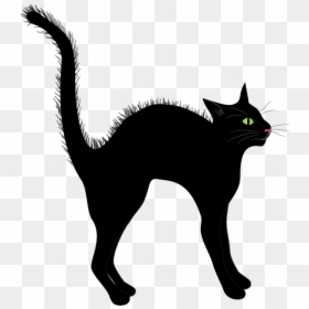 Black Cat, HD Png Download - black cat png