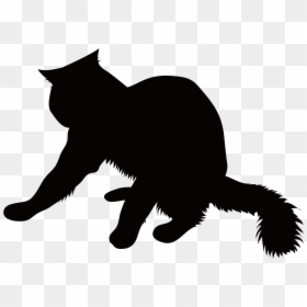 Cat Yawns, HD Png Download - black cat png