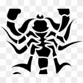 Silhouette Of A Scorpion, HD Png Download - scorpion png