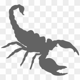 Wild Kratts Scorpion Power, HD Png Download - scorpion png