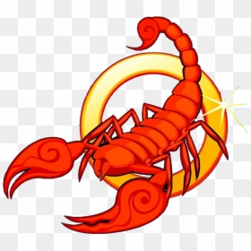Scorpio Clipart, HD Png Download - scorpion png