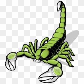 Scorpion Free, HD Png Download - scorpion png