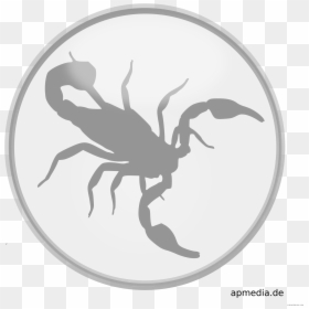 Scorpio, HD Png Download - scorpion png