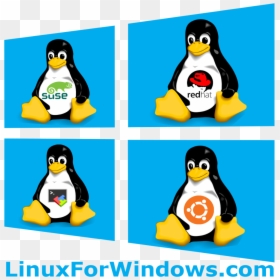 Linux, HD Png Download - windows logo png