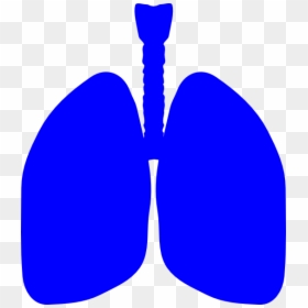 Lungs Clipart Blue, HD Png Download - celebration png