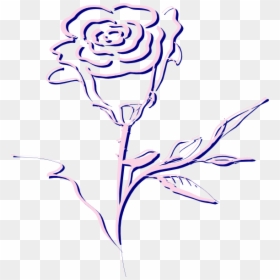 Rose, HD Png Download - pink rose png