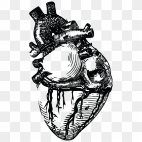 Realistic Heart Line Art, HD Png Download - thermometer png