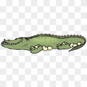 Crocodile With Eggs Clipart, HD Png Download - alligator png