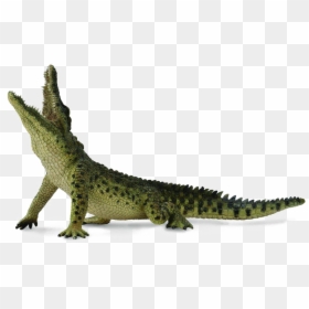 Collecta Nile Crocodile, HD Png Download - alligator png