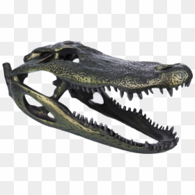 Alligator Png, Transparent Png - alligator png