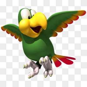 Donkey Kong Country Parrot, HD Png Download - donkey kong png